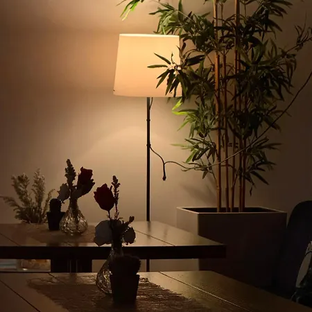 Estelada Boarding Albergue