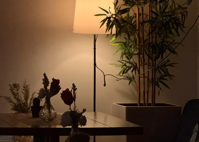 Estelada Boarding Albergue